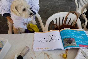 Salmy, The Scientific Dog From The National Autonomous University Of Mexico