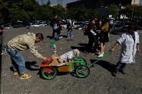 Salmy, The Scientific Dog From The National Autonomous University Of Mexico