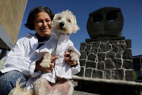 Salmy, The Scientific Dog From The National Autonomous University Of Mexico