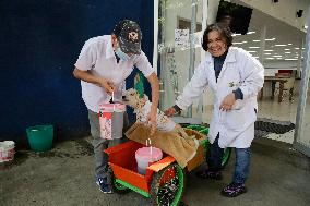 Salmy, The Scientific Dog From The National Autonomous University Of Mexico