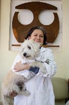 Salmy, The Scientific Dog From The National Autonomous University Of Mexico