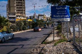 Lebanese Homecoming - Nabatieh