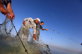 Lake Qarun Fishing Reopening - Egypt