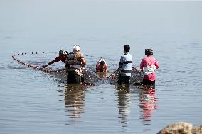 Lake Qarun Fishing Reopening - Egypt