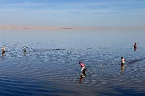 Lake Qarun Fishing Reopening - Egypt