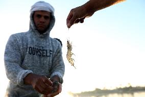 Lake Qarun Fishing Reopening - Egypt