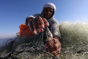 Lake Qarun Fishing Reopening - Egypt