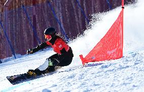 2024-2025 International Ski Federation Snowboarding Parallel Events World Cup