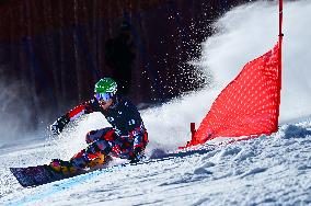 2024-2025 International Ski Federation Snowboarding Parallel Events World Cup