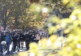 Imperial Palace opens to public for autumn leaves