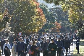 Imperial Palace opens to public for autumn leaves