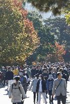 Imperial Palace opens to public for autumn leaves