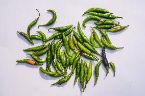 Green Chilli Pepper - Agriculture In India