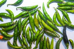 Green Chilli Pepper - Agriculture In India