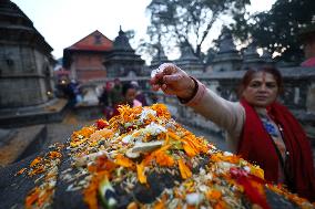 Bala Chaturdashi: Nepali Festival To Give Salvation To Departed Souls