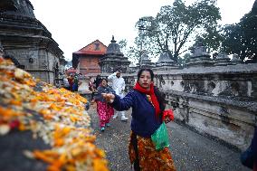 Bala Chaturdashi: Nepali Festival To Give Salvation To Departed Souls