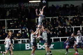 Newcastle Falcons v Saracens - Gallagher Premiership Rugby