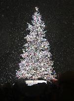 Giant Xmas tree in northern Japan