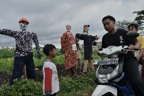 The  Rice Field Security Doll Festival