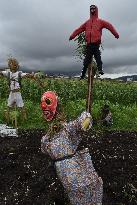 The  Rice Field Security Doll Festival