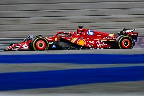 Formula One Qatar Grand Prix - Sprint Race