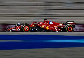 Formula One Qatar Grand Prix - Sprint Race