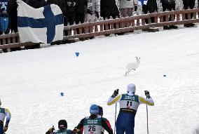 FIS Ruka Nordic 2024 in Kuusamo, Finland