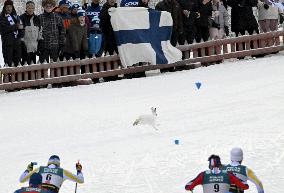 FIS Ruka Nordic 2024 in Kuusamo, Finland