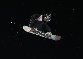 French Freestyle Skier Tess Ledeux Wins Gold - Beijing