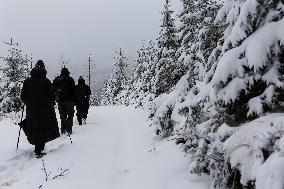 Snow Falls In Beskid Mountains In Poland