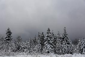 Snow Falls In Beskid Mountains In Poland