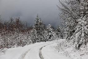 Snow Falls In Beskid Mountains In Poland