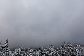 Snow Falls In Beskid Mountains In Poland