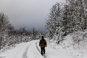 Snow Falls In Beskid Mountains In Poland