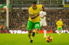 Norwich City FC v Luton Town FC - Sky Bet Championship