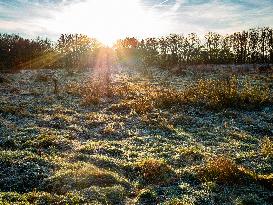 Freezy Mornings In The Netherlands.