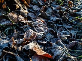 Freezy Mornings In The Netherlands.