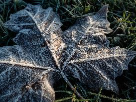 Freezy Mornings In The Netherlands.