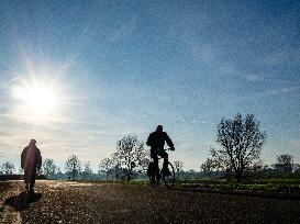 Freezy Mornings In The Netherlands.