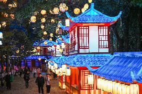 Tourists Visit Lantern in Nanjing