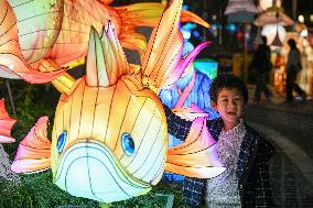 Tourists Visit Lantern in Nanjing