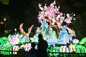 Tourists Visit Lantern in Nanjing