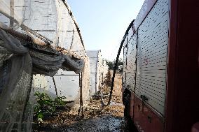 Water Distribution Day In Tyre - Lebanon