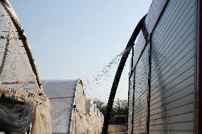 Water Distribution Day In Tyre - Lebanon