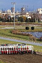 Thoroughbred Horse Racing At Woodbine Racetrack - December 1, 2024