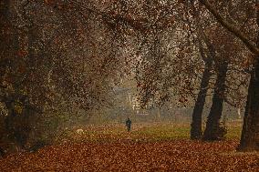 Winter In Kashmir