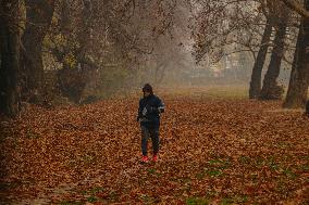 Winter In Kashmir