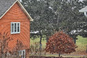 Snow Flurries In Toronto, Canada