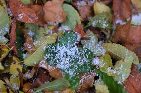 Snow Flurries In Toronto, Canada