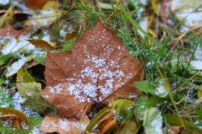 Snow Flurries In Toronto, Canada